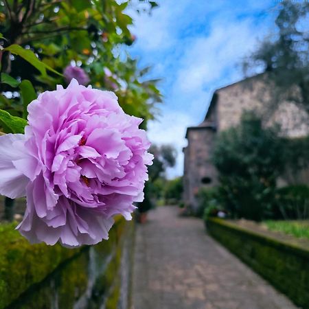 La Neffola Residence Sorrento Dış mekan fotoğraf